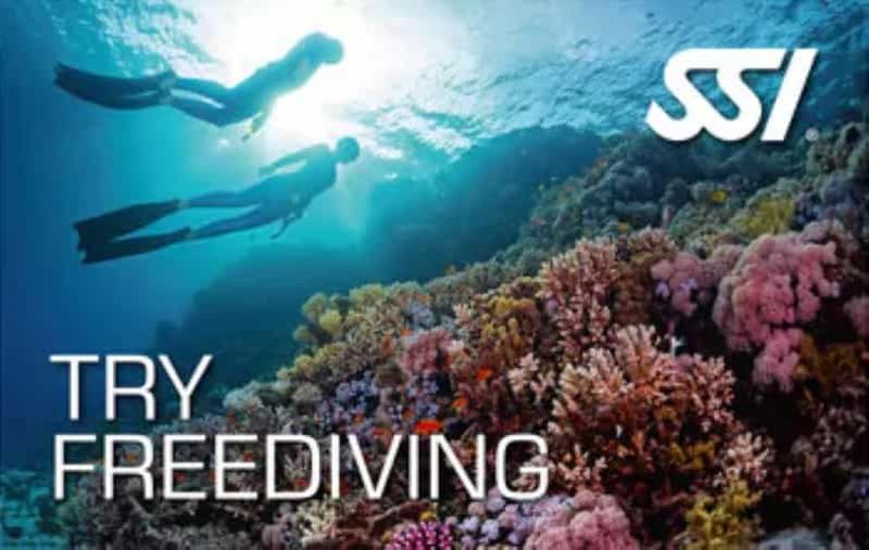 Billet Malte: Try Freediving SSI - Baptême d'apnée avec un moniteur en français