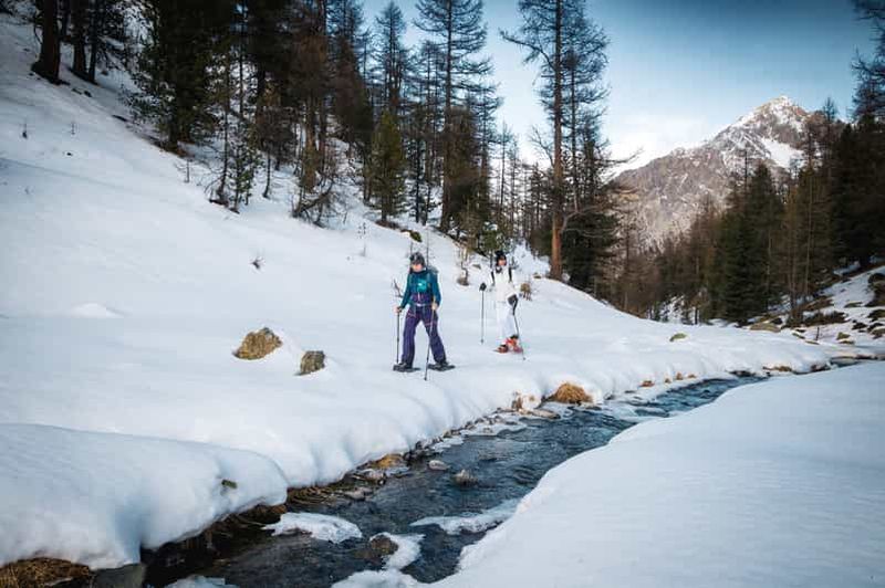 Billet Vialattea : Randonnée en raquettes dans la forêt enneigée