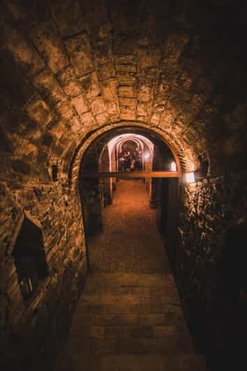 Billet Ancône : visite d'une cave, dîner aux truffes et dégustation de vin