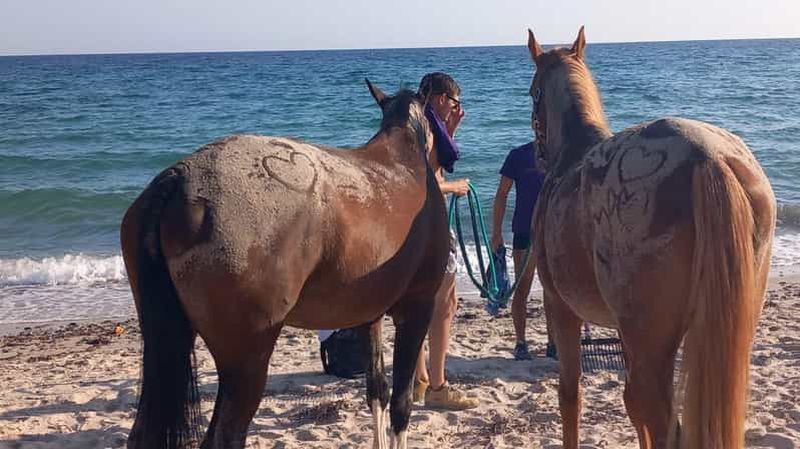 Billet Cagliari : balade à cheval avec plongée au lever du soleil