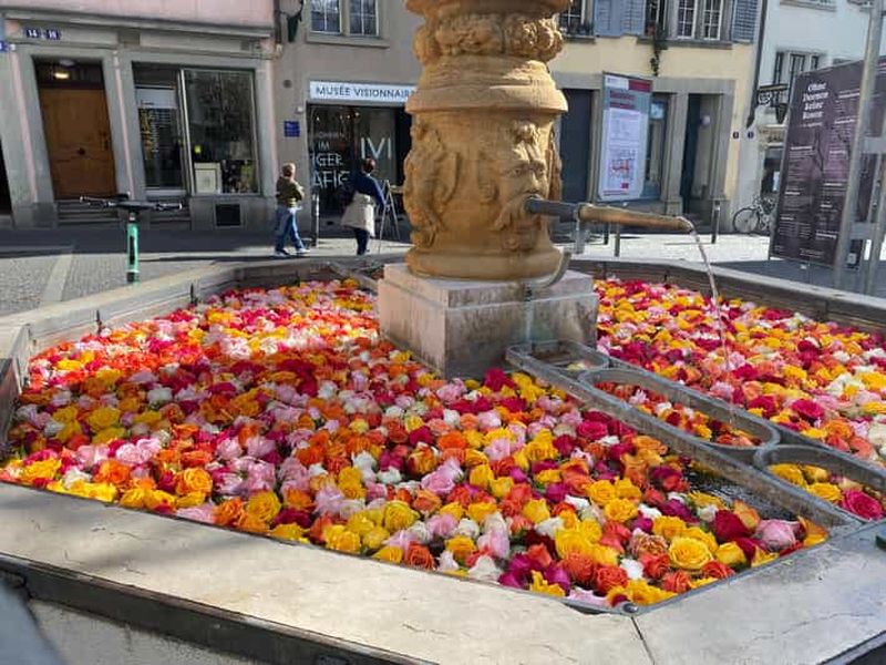 Billet Visite à pied de Zurich avec Polybahn : 5 heures