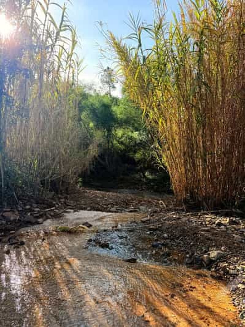 Billet Circuit en quad à São Brás de Alportel