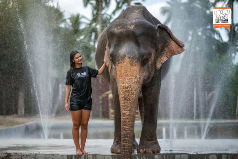 Billet Koh Samui : Visite d'une demi-journée au sanctuaire de la jungle des éléphants