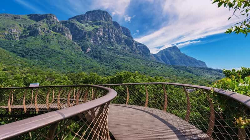 Billet Le Cap : visite de la montagne de la Table et du jardin botanique de Kirstenbosch