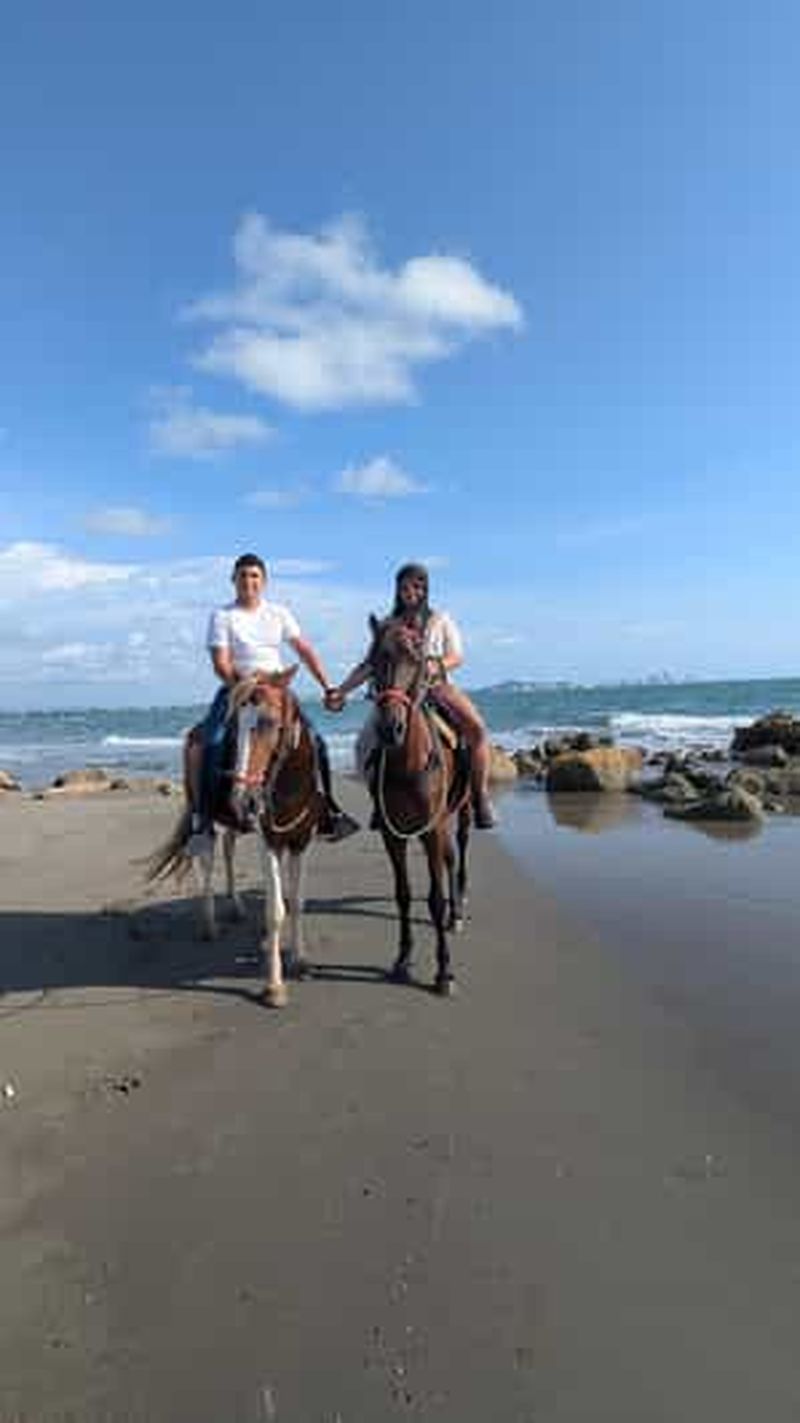 Billet Balades à cheval à Carthagène au bord de la mer des Caraïbes