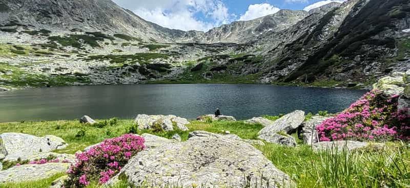Billet Parc national de Retezat : randonnée d'une journée complète au départ de Cluj-Napoca