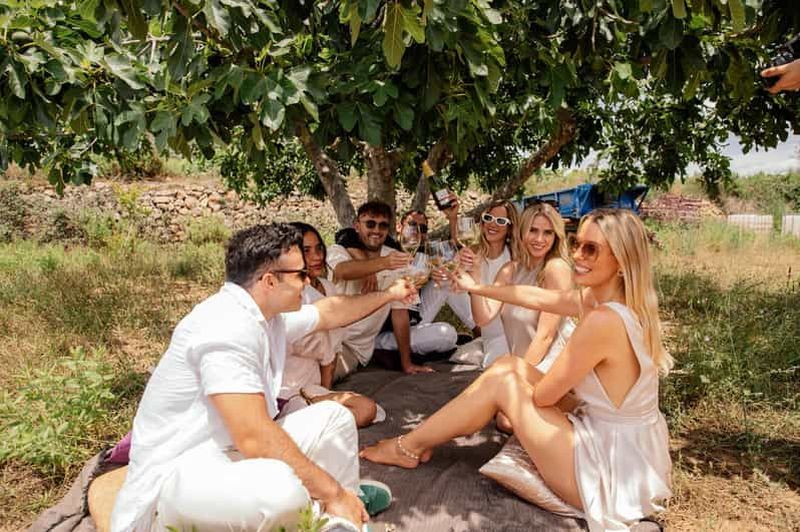 Billet Tbilissi : promenade à cheval privée et pique-nique avec vin