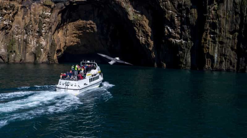 Billet Vestmannaeyjar : Excursion en bateau pour observer les macareux, les îles et les volcans