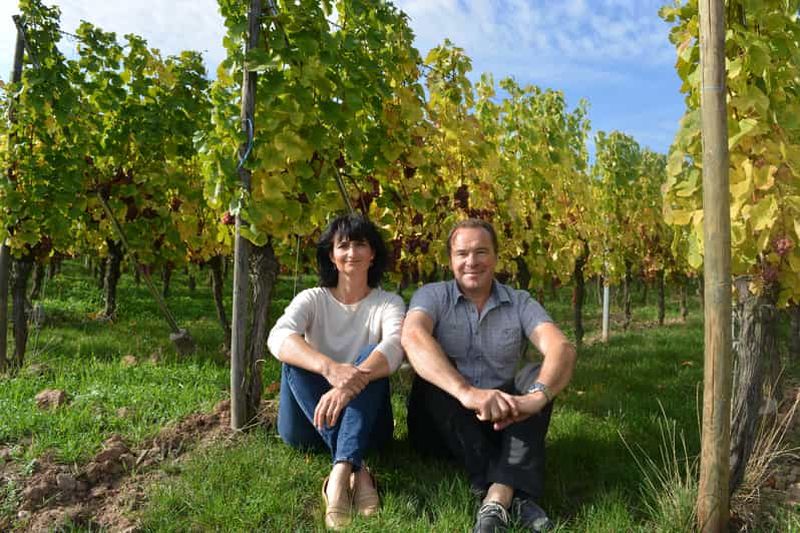 Billet Gueberschwihr: cours d'oenologie et dégustation 12 vins et 5 amuse-bouches