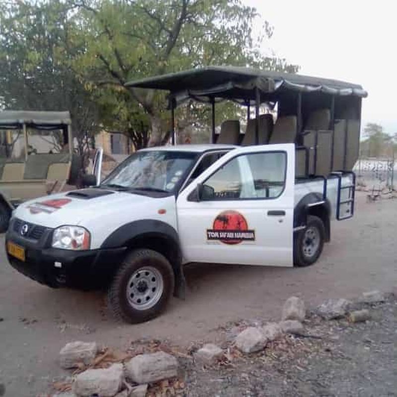 Billet Parc national d'Etosha : Excursion d'une journée ou d'une demi-journée