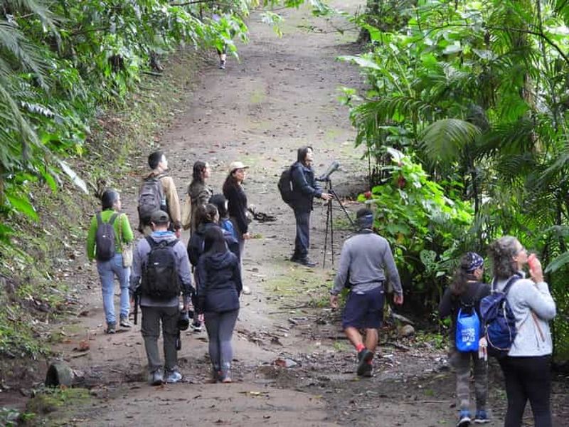 Billet Observation des oiseaux à San José : une expérience naturelle et culturelle