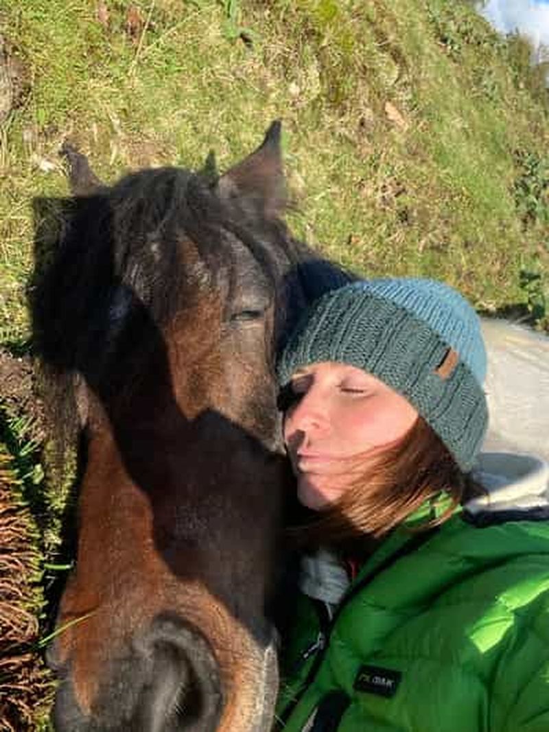 Billet Méditer avec des chevaux lourds dans la région des lacs
