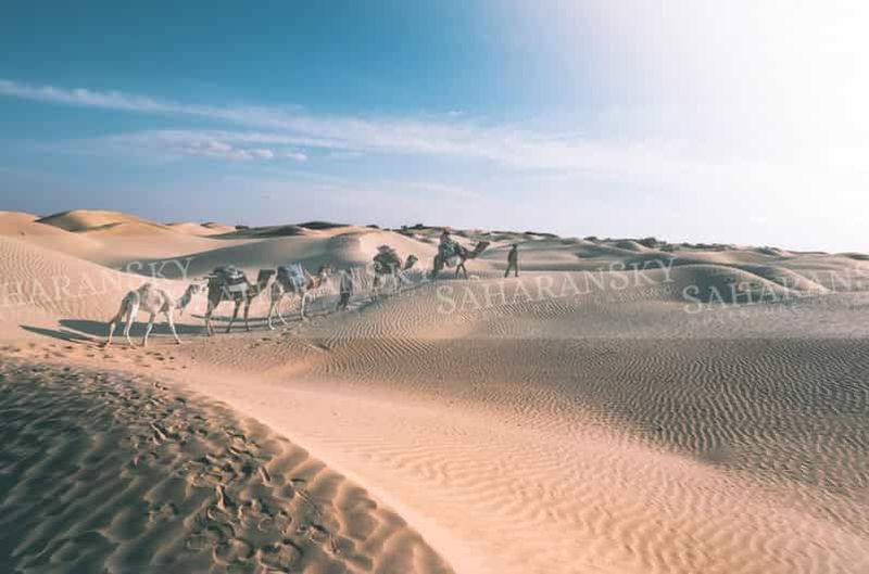 Billet Au départ de Douz : 7 jours de randonnée chamelière dans le désert des roses du Sahara