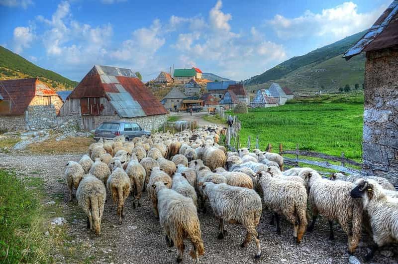 Billet Depuis Sarajevo : Randonnée d'une journée au village de Lukomir