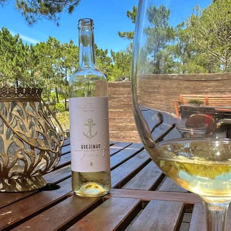 Billet Grândola : dégustation de vin à Brejinho da Costa
