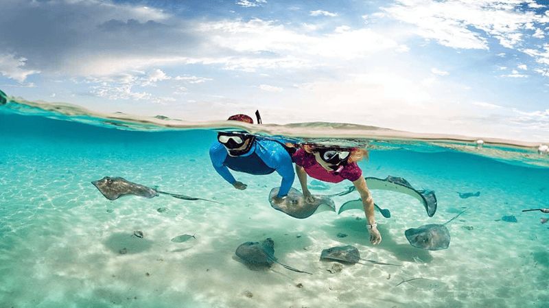 Billet Flamingo et Tamarindo : Plongée avec tuba aux îles Las Catalinas