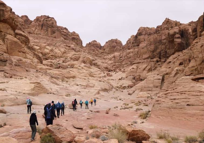 Billet Depuis le Wadi Rum : 2 jours de randonnée et d'excursion en jeep