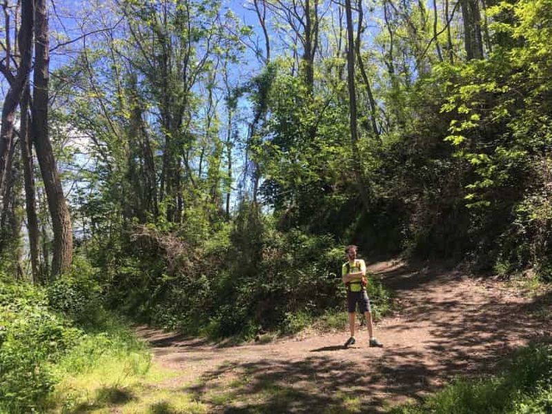 Billet Parc national du Vésuve : Randonnée guidée dans la vallée de l'enfer