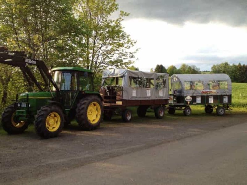 Billet Stuttgart : balade en traîneau d'hiver en charrette