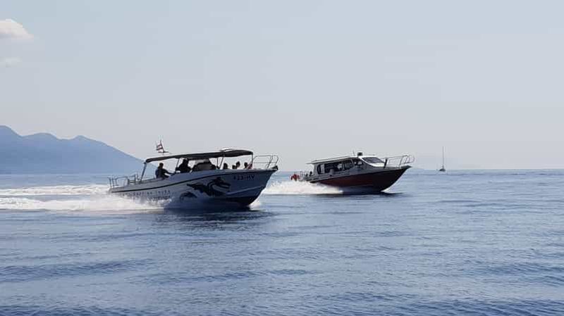 Billet Au départ de Hvar : Visite inoubliable de l'île de Vis et de la grotte bleue