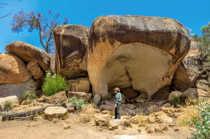 Billet Hyden : visite de 2 heures du Wave Rock au coucher du soleil avec guide aborigène