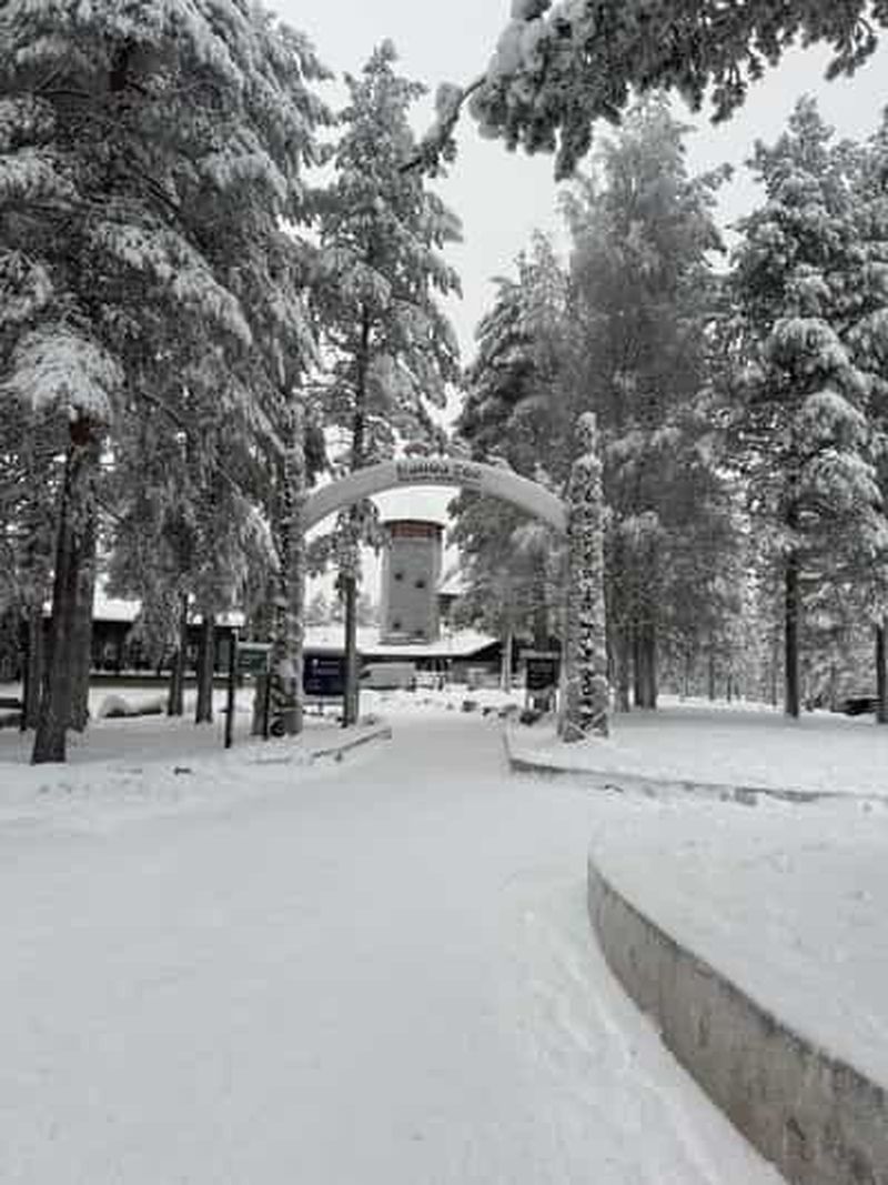 Billet Rovaniemi : visite guidée du zoo de Ranua avec transferts