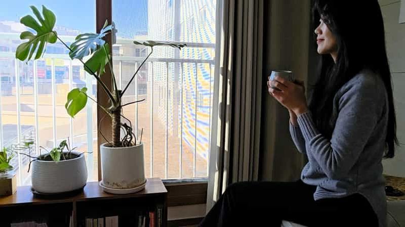 Billet Séoul : Cours de langue coréenne, visite du marché et cours de cuisine