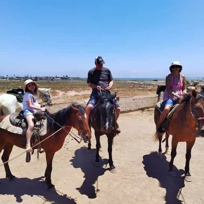 Billet Ensenada : Randonnée à cheval à Playa Hermosa