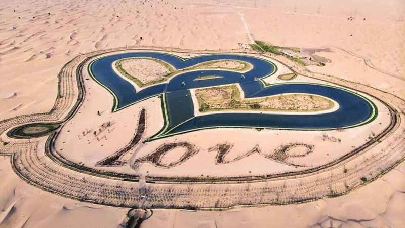 Billet Escapade nature à Dubaï : Observation de la faune et des oiseaux au coucher du soleil dans l'Oasis