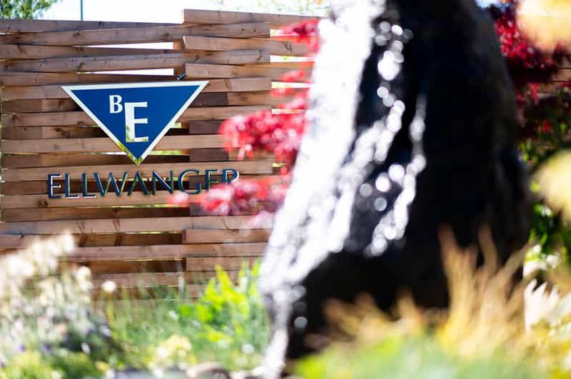 Billet Dégustation de 6 vins sans alcool et pain + réduction sur 1 bouteille