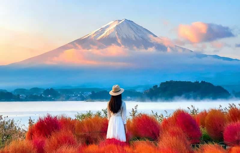 Billet Visite d'une journée : Mont Fuji et lac Kawaguchi