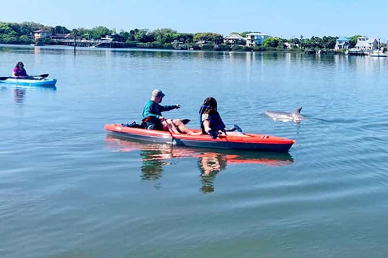Billet St. Augustine : Tour en dauphin et lamantin en pagaie ou en kayak