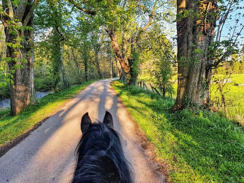 Billet Promenade à cheval dans le parc national du Gargano