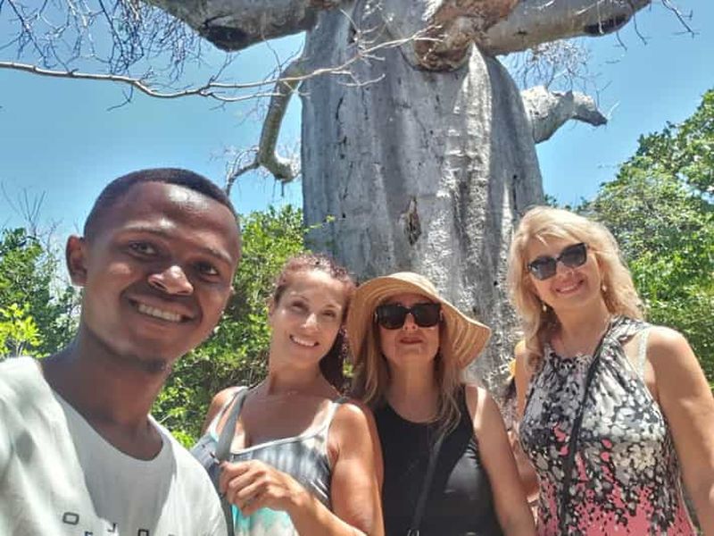 Billet Diego Suarez : 3 baies, déjeuner et baobab géant