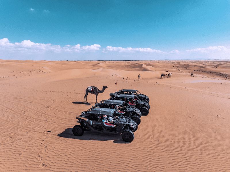 Billet Dubai Dune Buggy Adventure : Expérience de conduite hors route