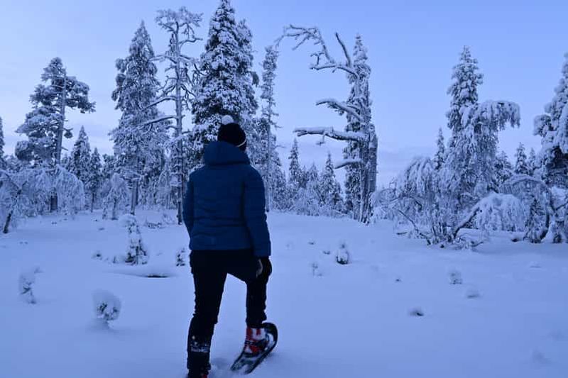 Billet Saariselkä : Randonnée en raquettes dans le parc national d'Urho Kekkonen