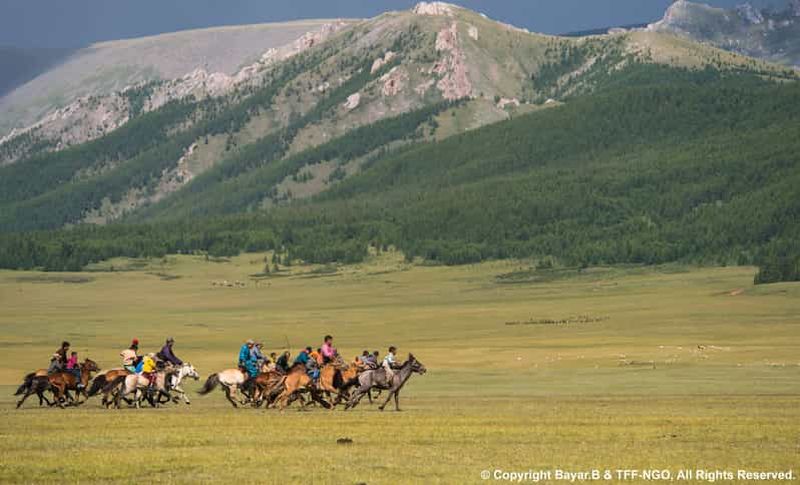 Billet Parc national de Terelj : Circuit avec équitation et randonnée