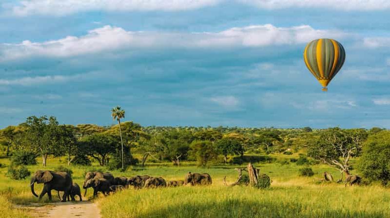Billet Tarangire : safari en montgolfière et petit-déjeuner dans la brousse