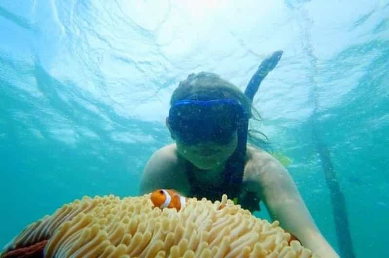 Billet Bintan : excursion snorkeling, kayak et pêche