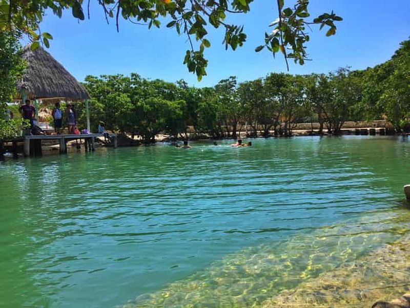 Billet Rio Lagartos Expedicion : excursion en bateau et entrée au cénote