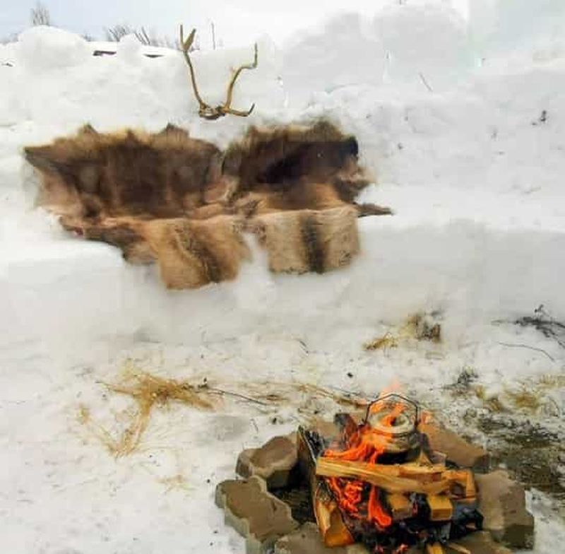 Billet Tromsø : luge, mini-ski, lasso et divertissements arctiques