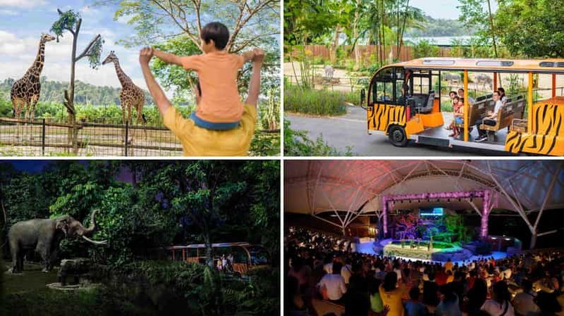 Billet Zoo de Singapour (gratuit et facile) avec visite guidée du Night Safari