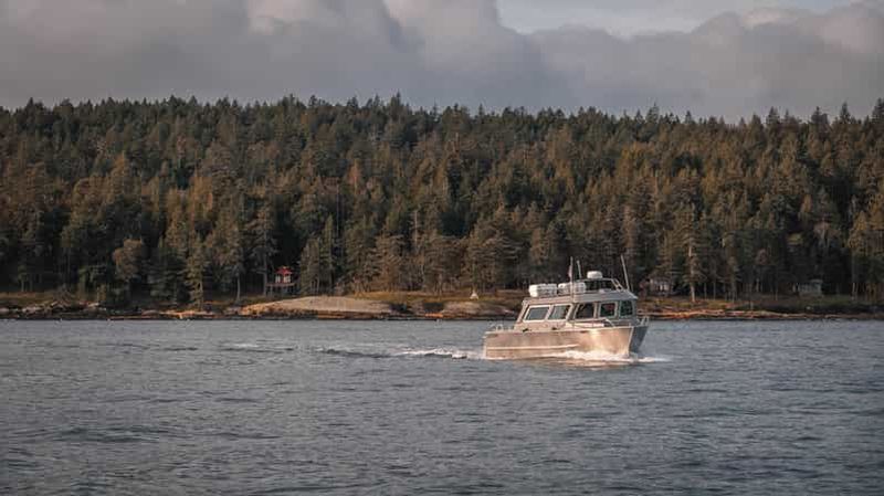 Billet Nanaimo : Tour en bateau semi-couvert pour l'observation des baleines