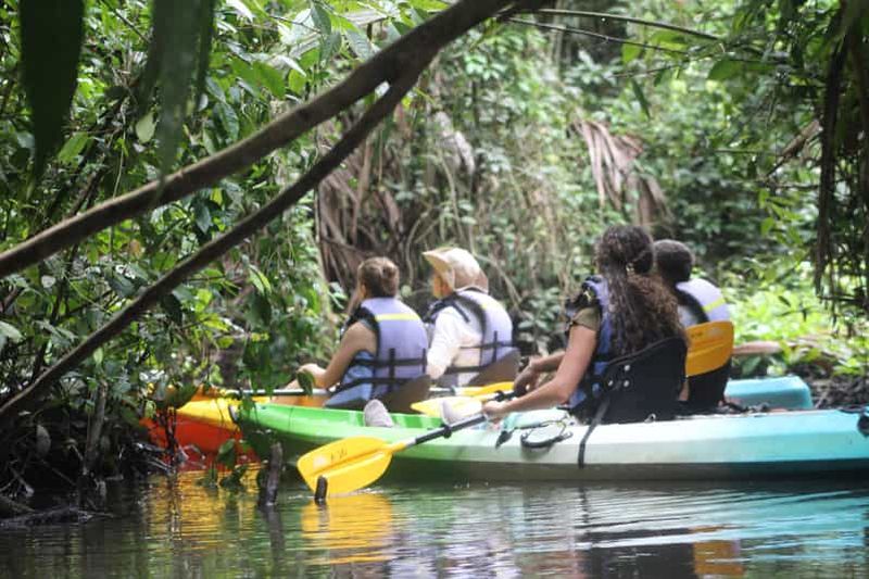 Billet Tortuguero : KAYAK Tour dans les canaux. Une expérience incomparable