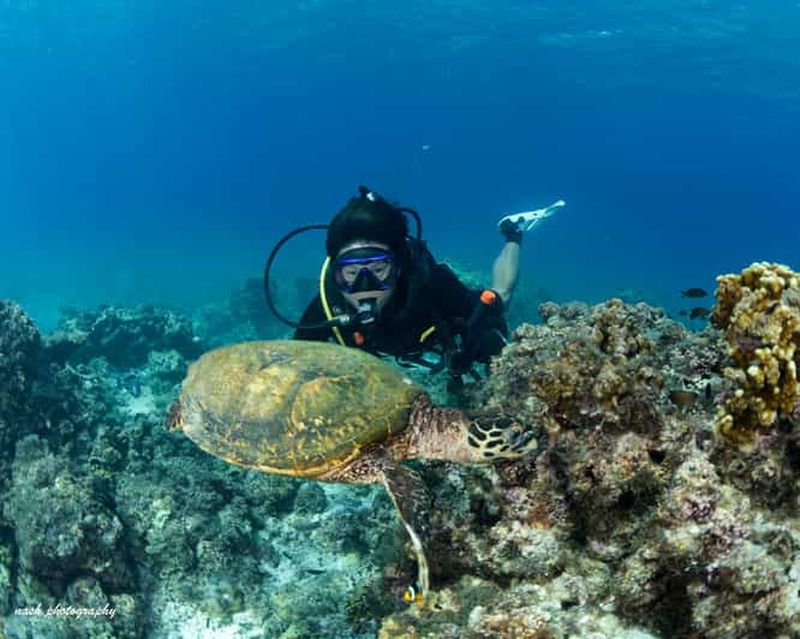 Billet MUSCAT : Daymaniyat Island Snorkeling & Try-Dive + BBQ Lunch