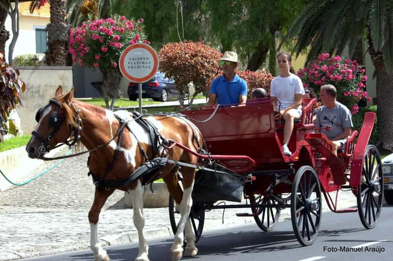 Billet Promenade en calèche à Porto Santo