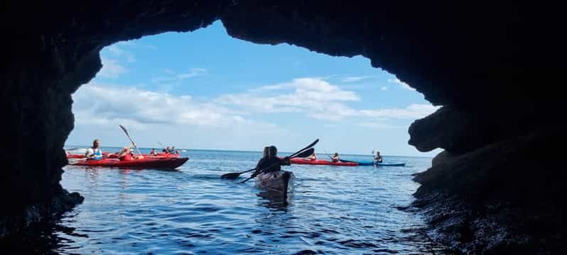 Billet Torquay : safari en kayak à la découverte de la faune, de la nature sauvage et des grottes marines
