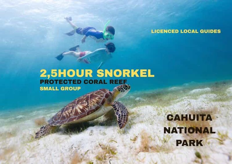 Billet Plongée avec tuba dans le parc national de Cahuita : explorez le récif