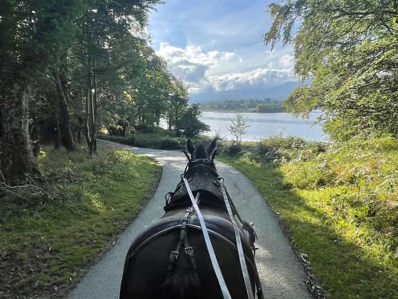 Billet Killarney Carriage Tours Parc national et lacs