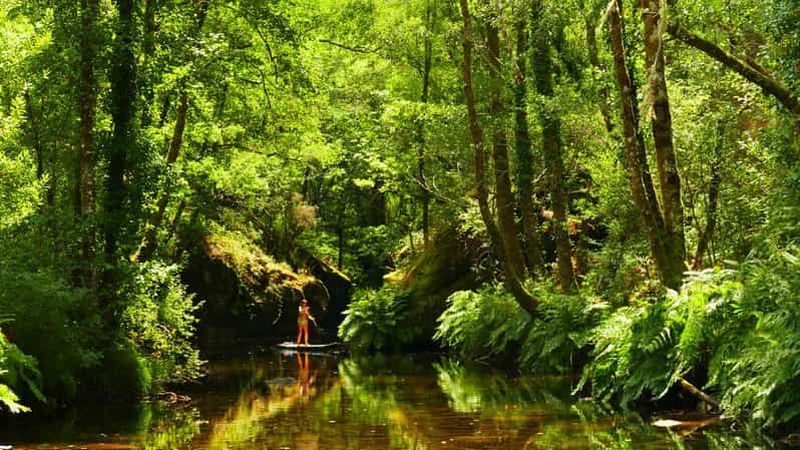 Billet Excursions en SUP (P.N.P.G. - Parc national)